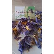 Lotus bleu - Résine extrait x100 Nymphaea caerulea